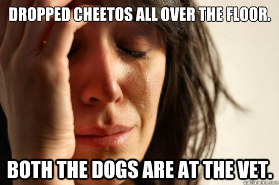 Dropped Cheetos all over the floor. Both the dogs are at the vet.  First World Problems