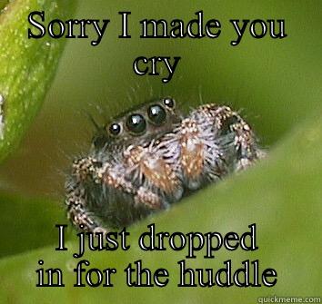 SORRY I MADE YOU CRY I JUST DROPPED IN FOR THE HUDDLE Misunderstood Spider