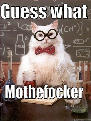 GUESS WHAT  MOTHEFOCKER Chemistry Cat