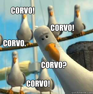 corvo! corvo? corvo! corvo. corvo! - corvo! corvo? corvo! corvo. corvo!  seagulls