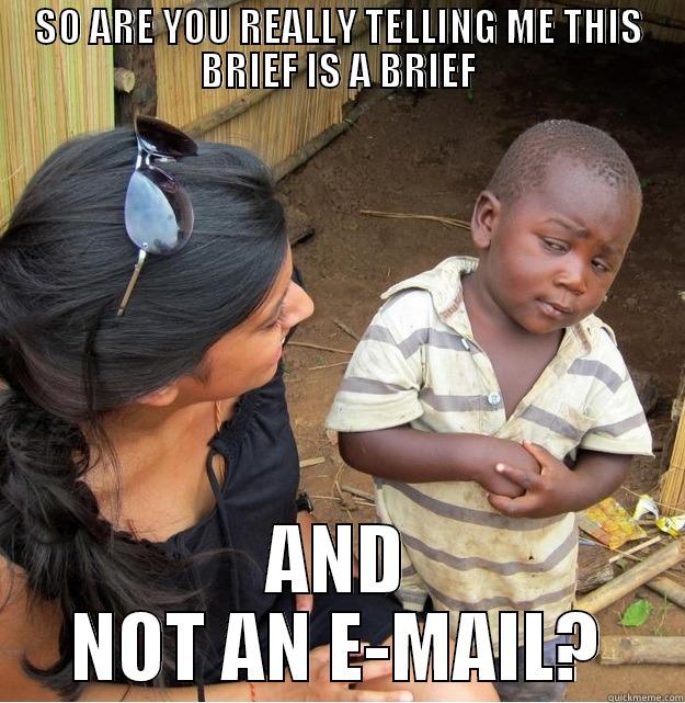 SO ARE YOU REALLY TELLING ME THIS BRIEF IS A BRIEF AND NOT AN E-MAIL? Skeptical Third World Kid