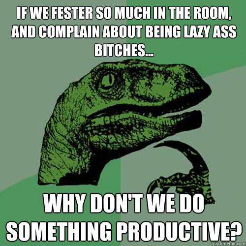 If we fester so much in the room, and complain about being lazy ass bitches... WHY DON'T WE DO SOMETHING PRODUCTIVE? - If we fester so much in the room, and complain about being lazy ass bitches... WHY DON'T WE DO SOMETHING PRODUCTIVE?  Philosoraptor