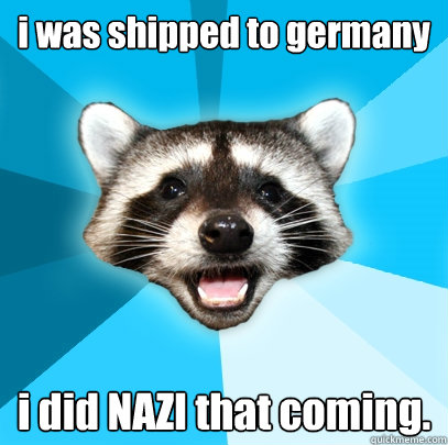 i was shipped to germany i did NAZI that coming.  Lame Pun Coon