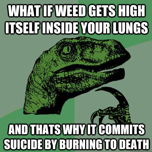 What if weed gets high itself inside your lungs and thats why it commits suicide by burning to death   Philosoraptor