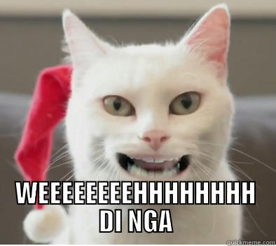 Christmas Cat -  WEEEEEEEEHHHHHHHH DI NGA Misc