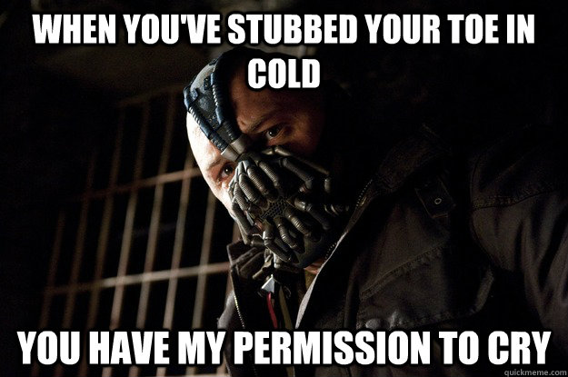 When you've stubbed your toe in cold you have my permission to cry  Angry Bane