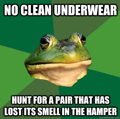 no clean underwear hunt for a pair that has lost its smell in the hamper  Foul Bachelor Frog