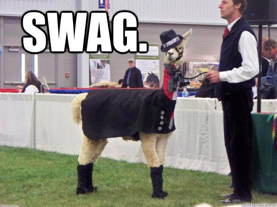 SWAG. - SWAG.  swag llama