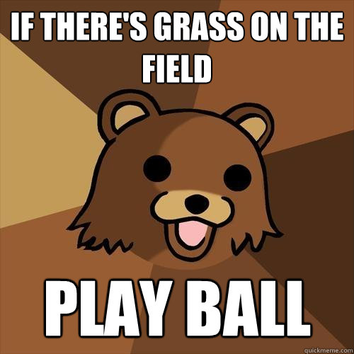 if there's grass on the field play ball - if there's grass on the field play ball  Pedobear