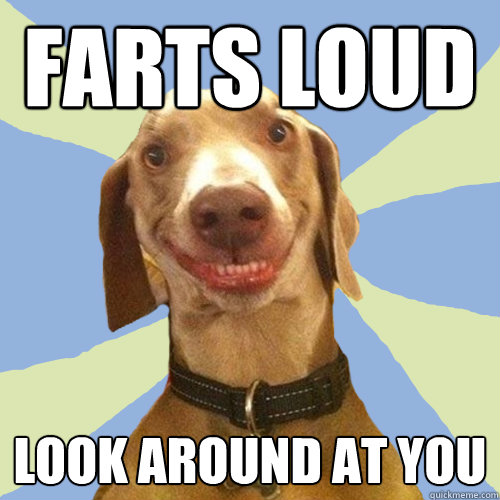 farts loud Look around at you - farts loud Look around at you  Disgusting Doggy