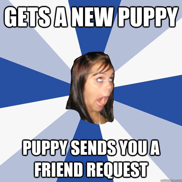 Gets a new puppy puppy sends you a friend request  