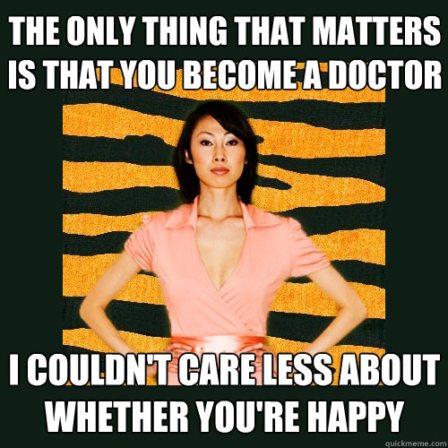 the only thing that matters is that you become a doctor I couldn't care less about whether you're happy  Tiger Mom