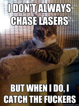 I don't always chase lasers but when I do, I catch the fuckers - I don't always chase lasers but when I do, I catch the fuckers  The Most Interesting Cat in the World