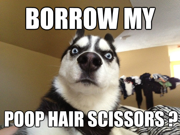 borrow my poop hair scissors ?  