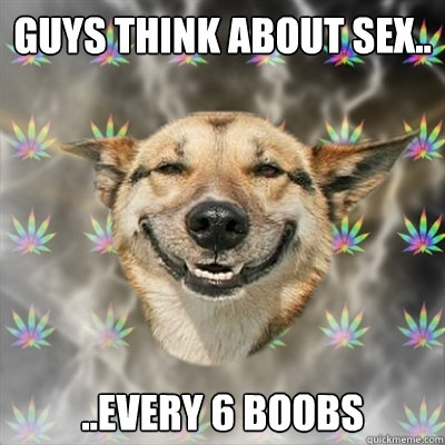 Guys think about sex.. ..every 6 boobs  Stoner Dog