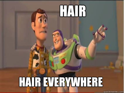 hair hair everywhere - hair hair everywhere  woody and buzz