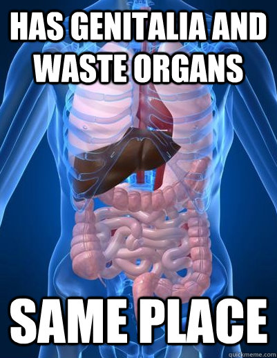 HAS GENITALIA AND WASTE ORGANS SAME PLACE - HAS GENITALIA AND WASTE ORGANS SAME PLACE  Stupid Human Body