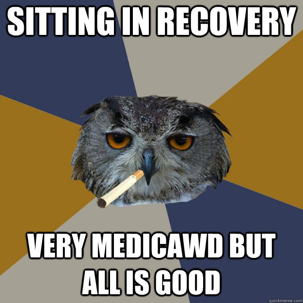 Sitting in recovery Very medicawd but all is good - Sitting in recovery Very medicawd but all is good  Art Student Owl