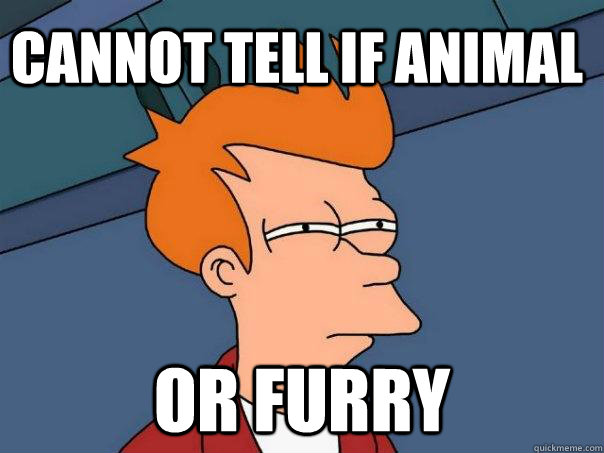 Cannot tell if animal Or furry  Futurama Fry