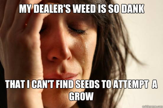 MY DEALER's WEED IS SO DANK THAT I CAN'T FIND SEEDS TO ATTEMPT  A GROW Caption 3 goes here  First World Problems