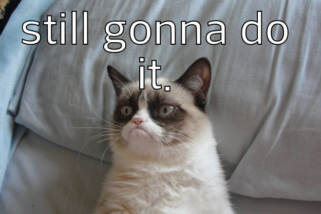 STILL GONNA DO IT.  Grumpy Cat