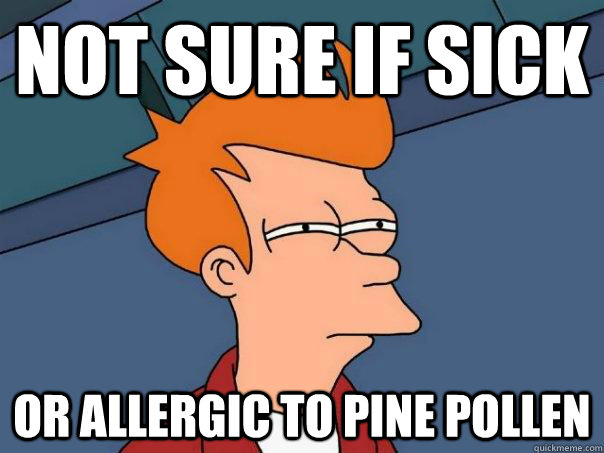 Not sure if Sick Or allergic to pine pollen  Futurama Fry