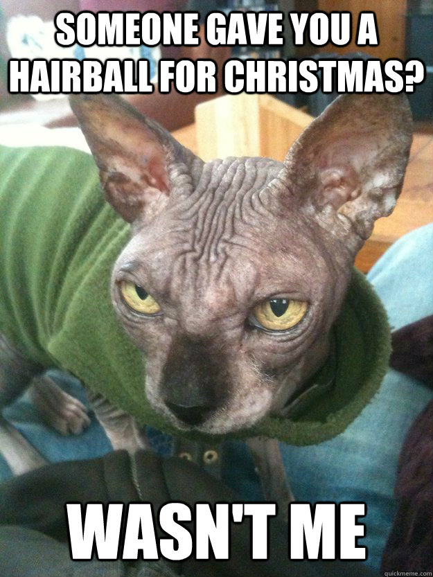 Someone gave you a hairball for Christmas? WASN'T ME  SHAGGY