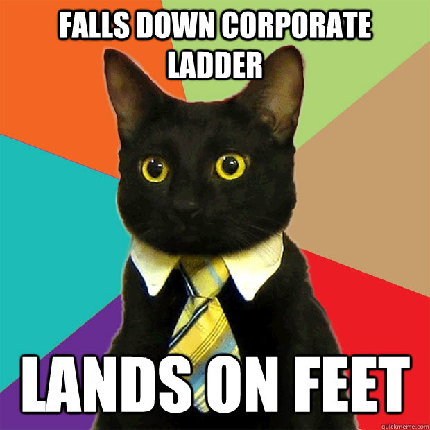 Falls down corporate ladder  lands on feet  - Falls down corporate ladder  lands on feet   Business Cat