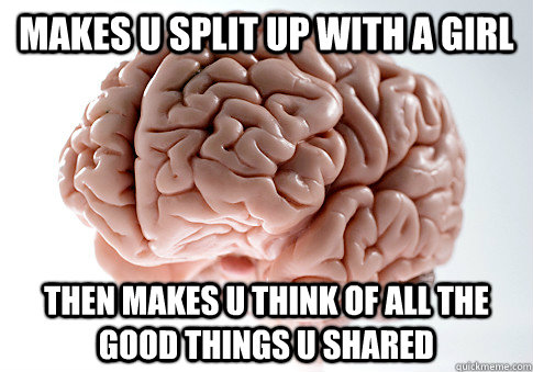 makes u split up with a girl then makes u think of all the good things u shared  Scumbag Brain