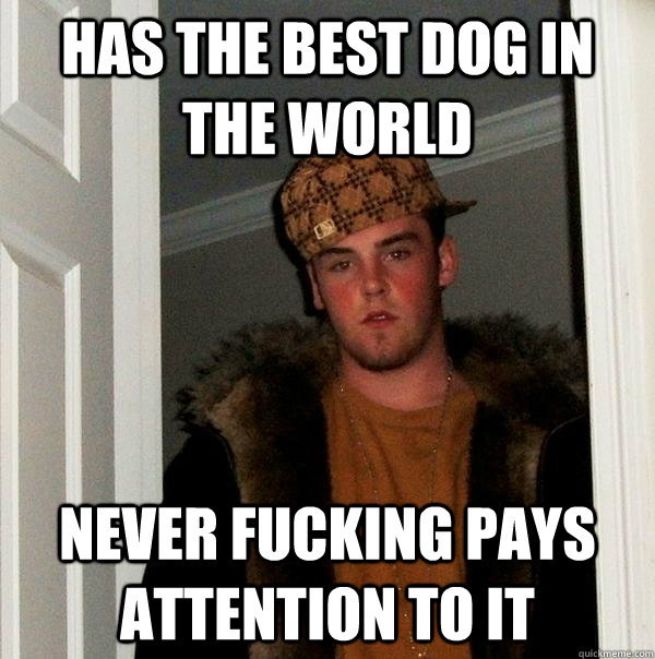 has the best dog in the world never fucking pays attention to it  Scumbag Steve