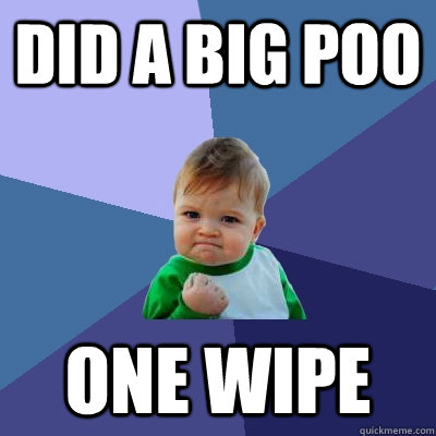 Did a big poo one wipe  Success Kid