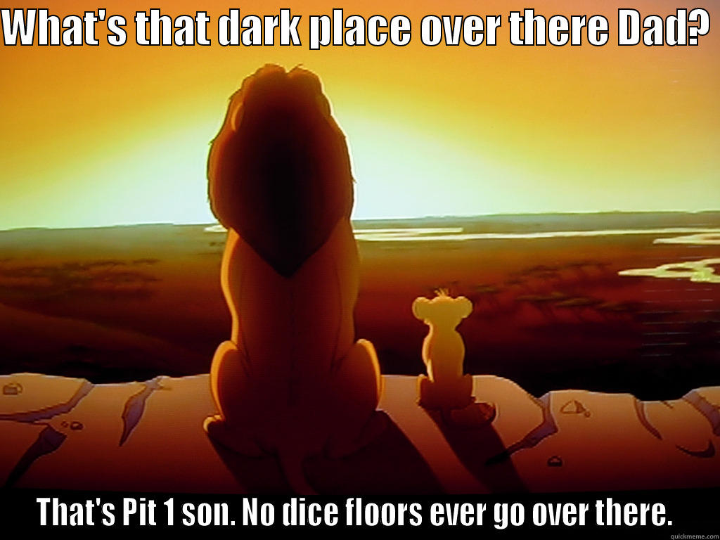 WHAT'S THAT DARK PLACE OVER THERE DAD?  THAT'S PIT 1 SON. NO DICE FLOORS EVER GO OVER THERE.  Misc