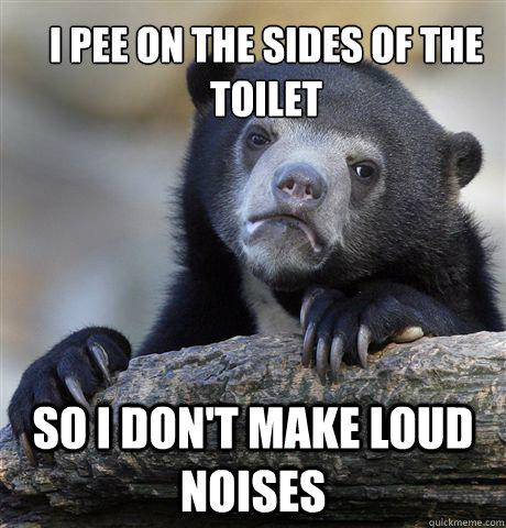 I pee on the sides of the toilet so i don't make loud noises  Confession Bear