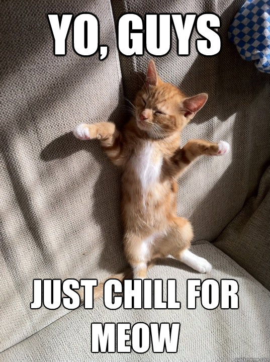 Yo Guys Just Chill For Meow Chill Cat Quickmeme