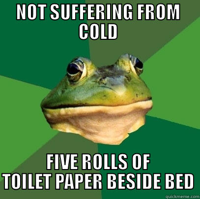 NOT SUFFERING FROM COLD FIVE ROLLS OF TOILET PAPER BESIDE BED Foul Bachelor Frog