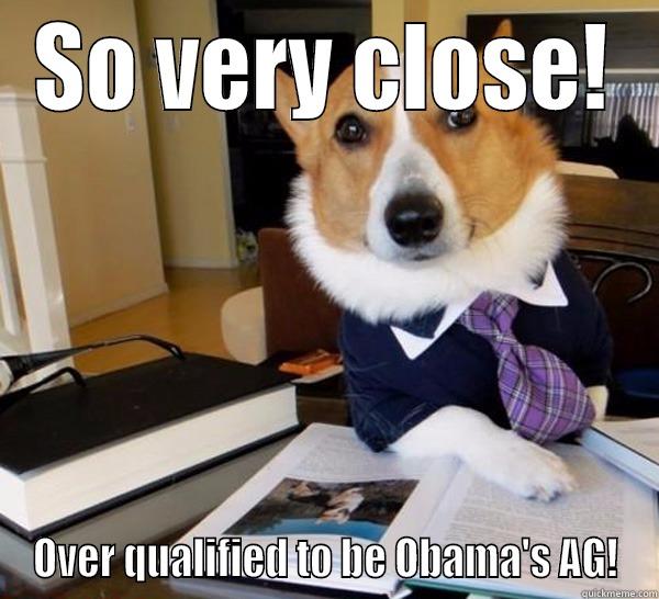 SO VERY CLOSE! OVER QUALIFIED TO BE OBAMA'S AG! Lawyer Dog