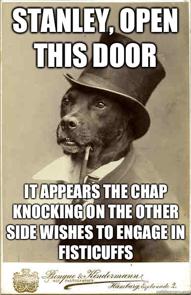 Stanley, open this door It appears the chap knocking on the other side wishes to engage in fisticuffs   Old Money Dog