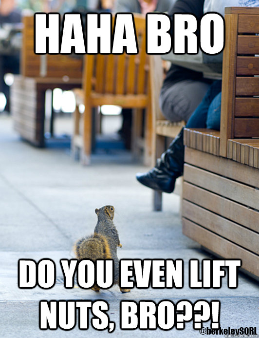 HAHA BRO DO YOU EVEN LIFT NUTS, bro??!  