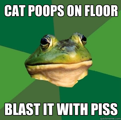 Cat poops on floor Blast it with piss - Cat poops on floor Blast it with piss  Foul Bachelor Frog