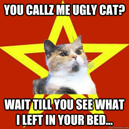 You callz me ugly cat? Wait till you see what I left in your bed...  Lenin Cat