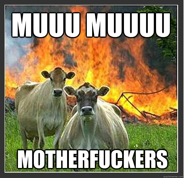 MUUU MUUUU motherfuckers  Evil cows