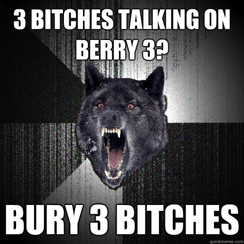 3 BITCHES TALKING ON Berry 3? bury 3 bitches  Insanity Wolf