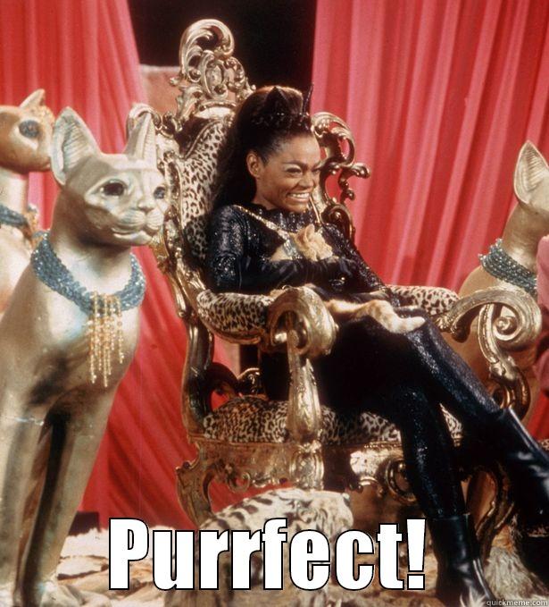  PURRFECT! Misc