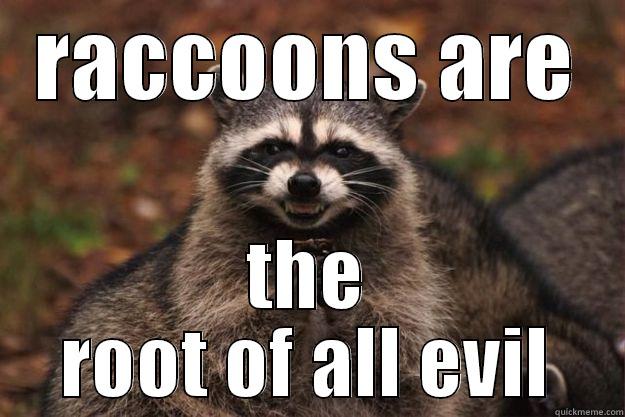 RACCOONS ARE THE ROOT OF ALL EVIL Evil Plotting Raccoon