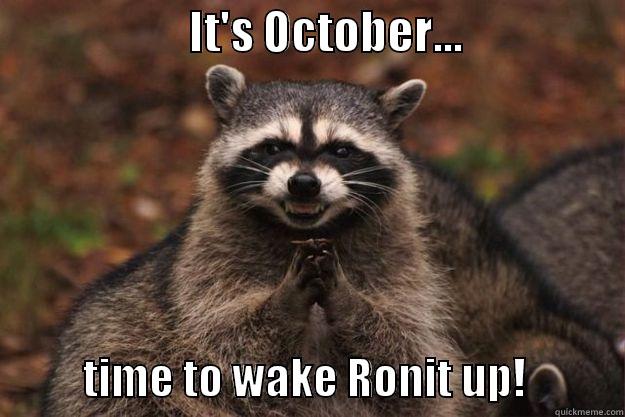                      IT'S OCTOBER...                             TIME TO WAKE RONIT UP!           Evil Plotting Raccoon