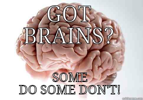 Brains arent for everyone - GOT BRAINS? SOME DO SOME DON'T! Scumbag Brain