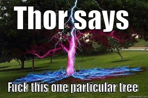 THOR SAYS FUCK THIS ONE PARTICULAR TREE Misc