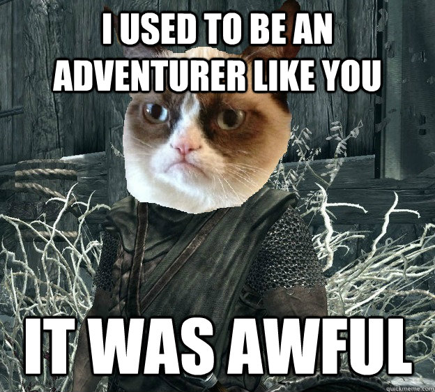 I used to be an adventurer like you it was awful - I used to be an adventurer like you it was awful  Misc