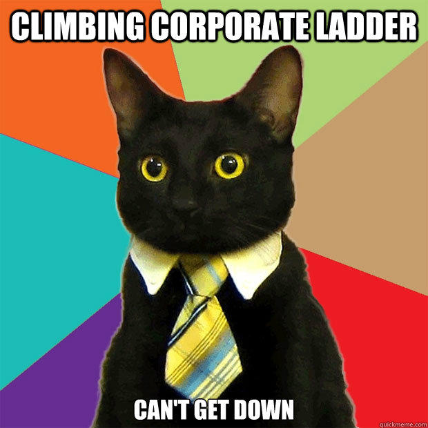 Climbing corporate ladder can't get down  Business Cat