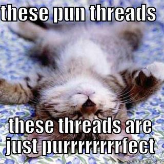 THESE PUN THREADS   THESE THREADS ARE JUST PURRRRRRRRFECT Misc